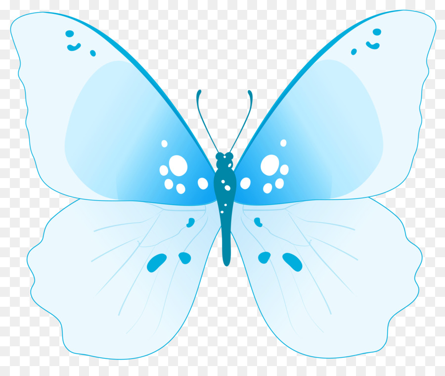 Papillon，Ailes PNG