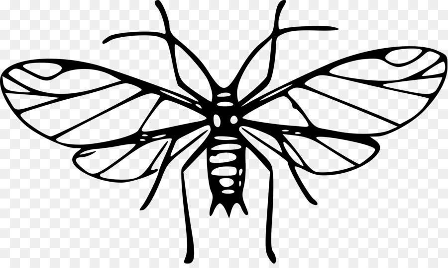 Moustique，Insecte PNG