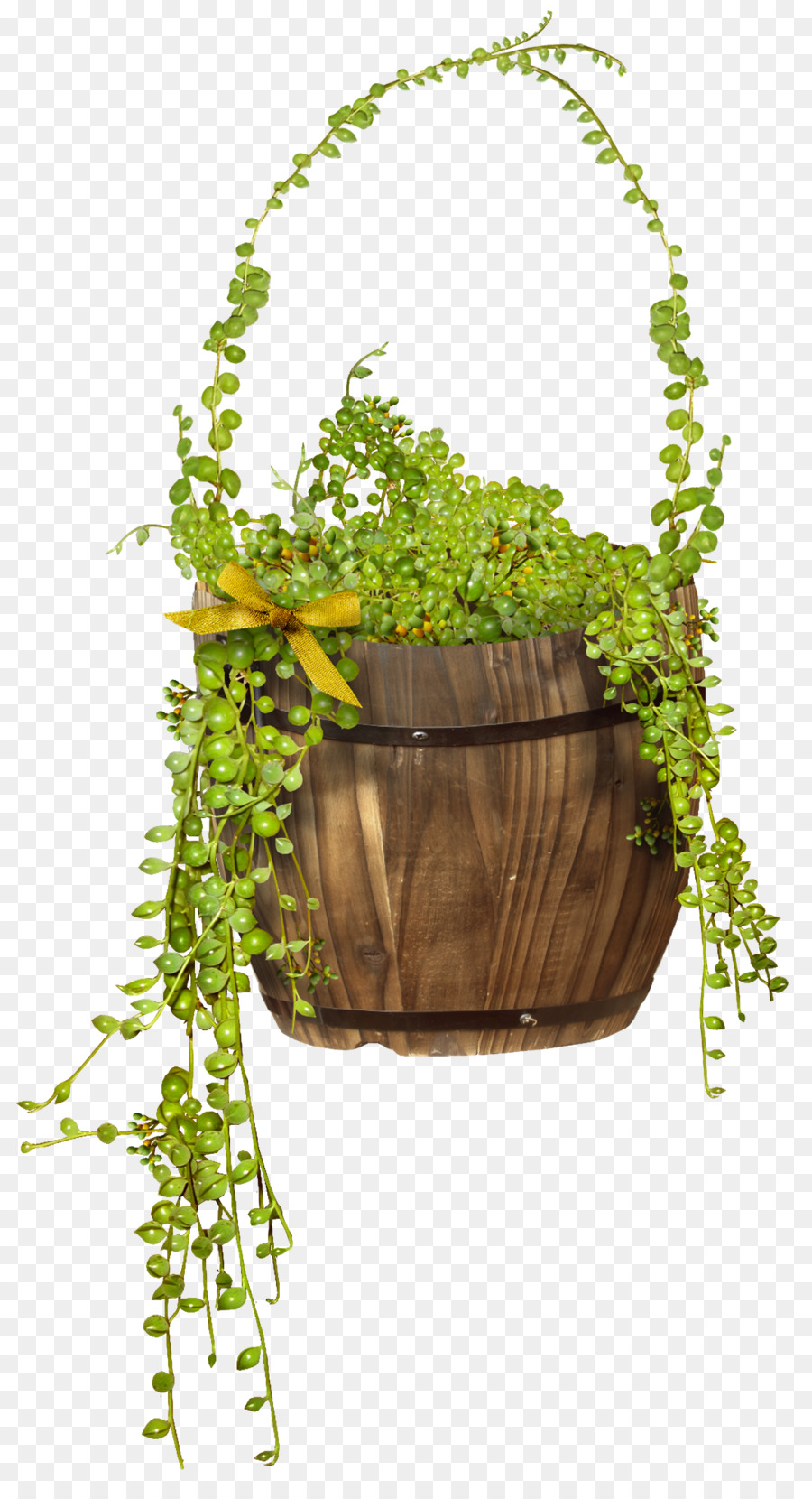 Plante，Panier PNG