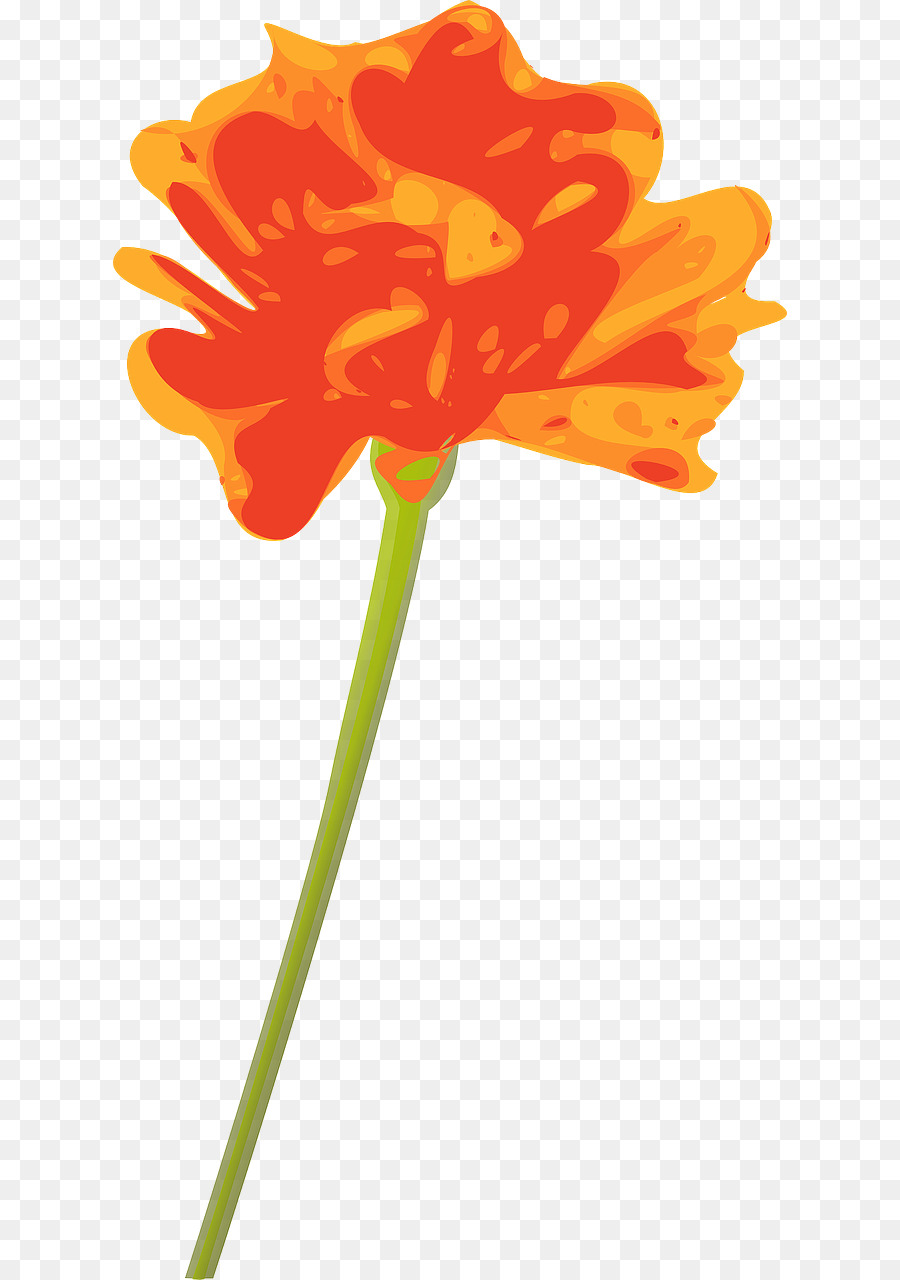 Fleur，Orange PNG