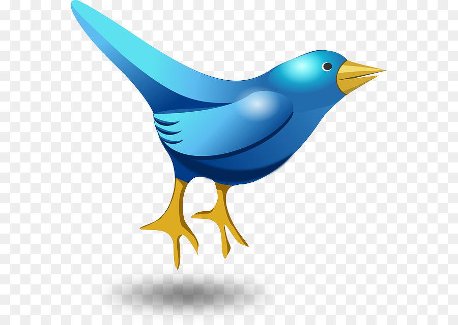 Oiseau Bleu，Ailes Jaunes PNG