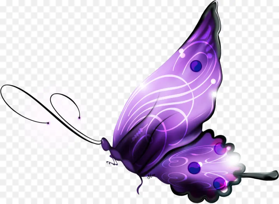 Papillon，Android PNG