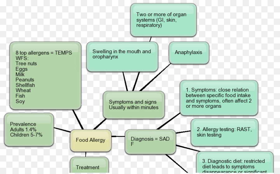 L Allergie Alimentaire，Allergie PNG