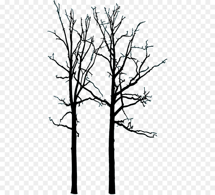 Arbre Nu，Bifurquer PNG