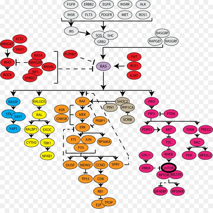 Diagramme De Parcours，Chemin PNG