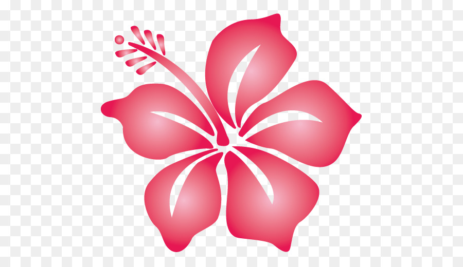 Hibiscus，Rouge PNG