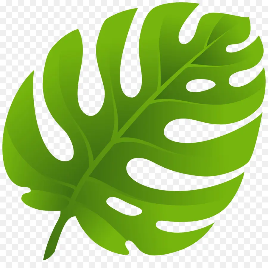 Feuille，Usine PNG