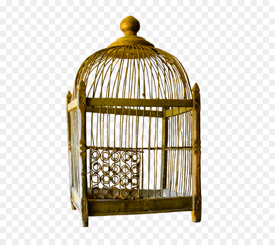 Oiseau，Cage PNG
