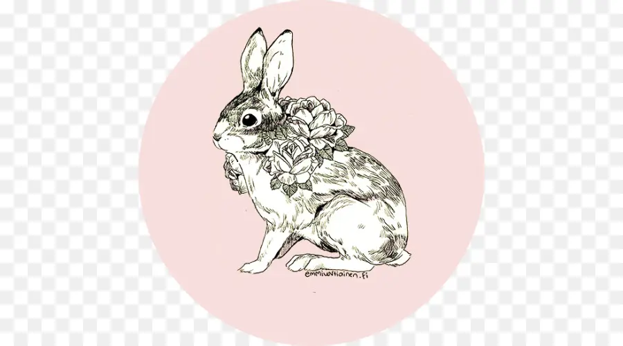 Lapin Avec Des Fleurs，Animal PNG