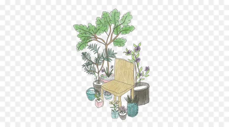 Plantes Et Chaise，Verdure PNG