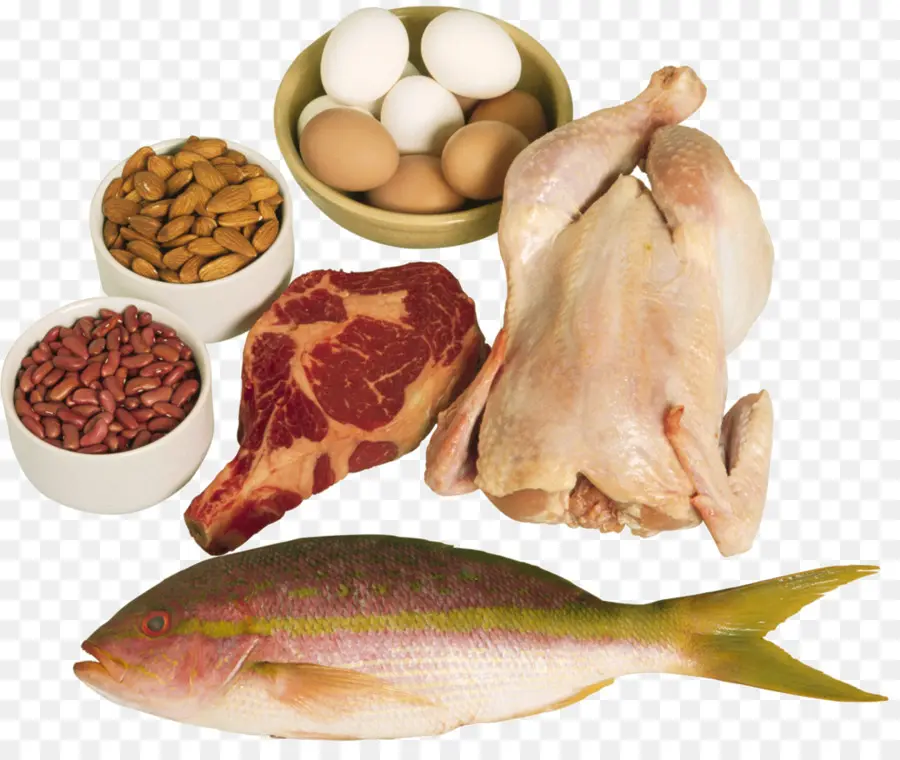 Aliments Protéinés，Viande PNG