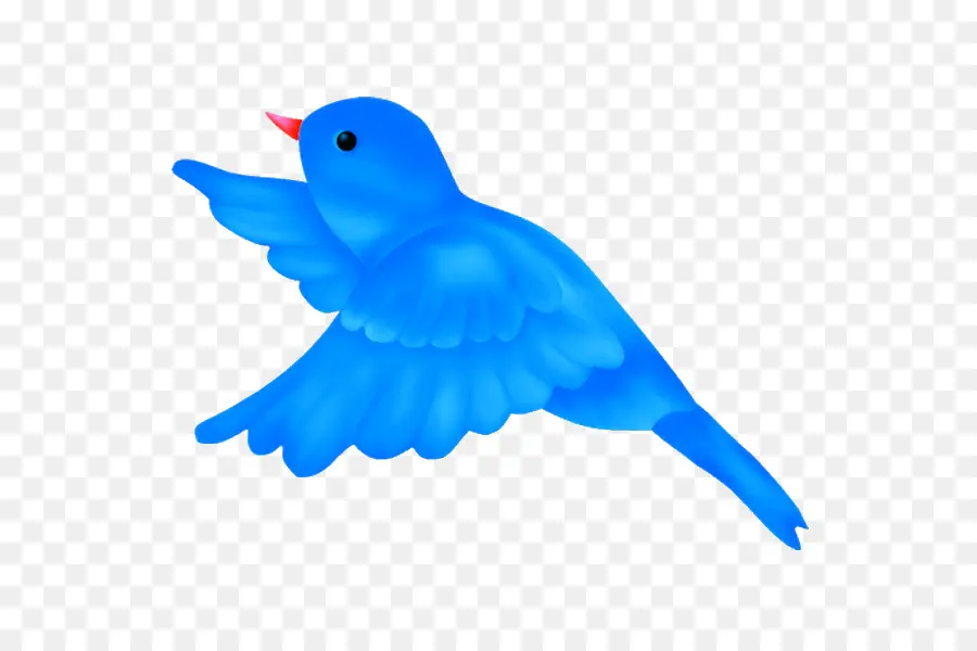 Oiseau，Bleu PNG