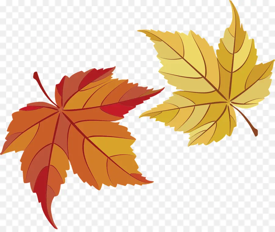 Feuilles D'automne，Automne PNG