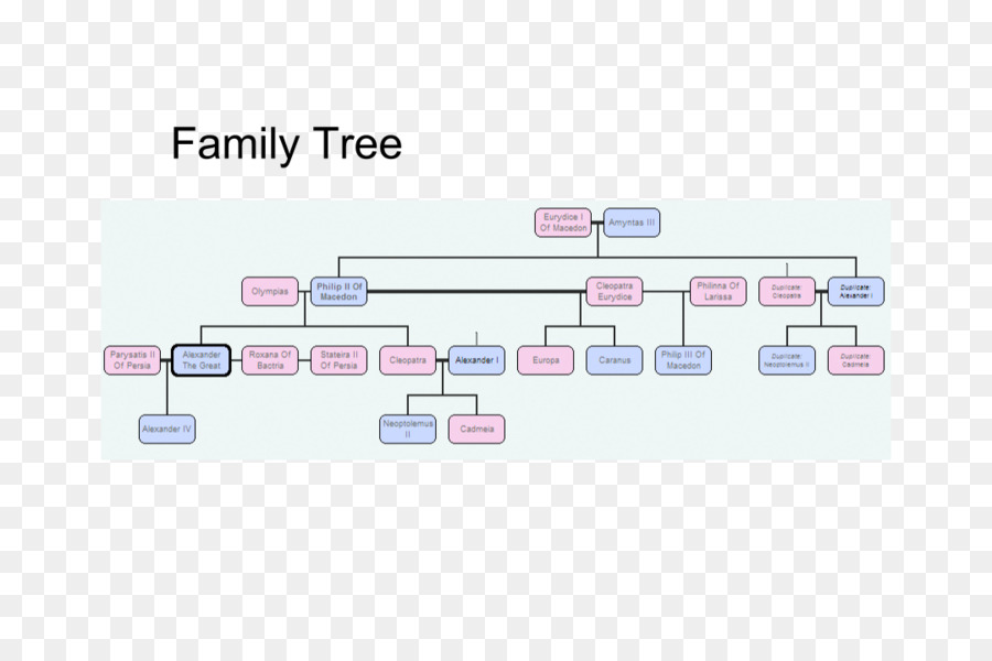 had-s-arbre-de-la-famille-des-la-famille-png-had-s-arbre-de-la