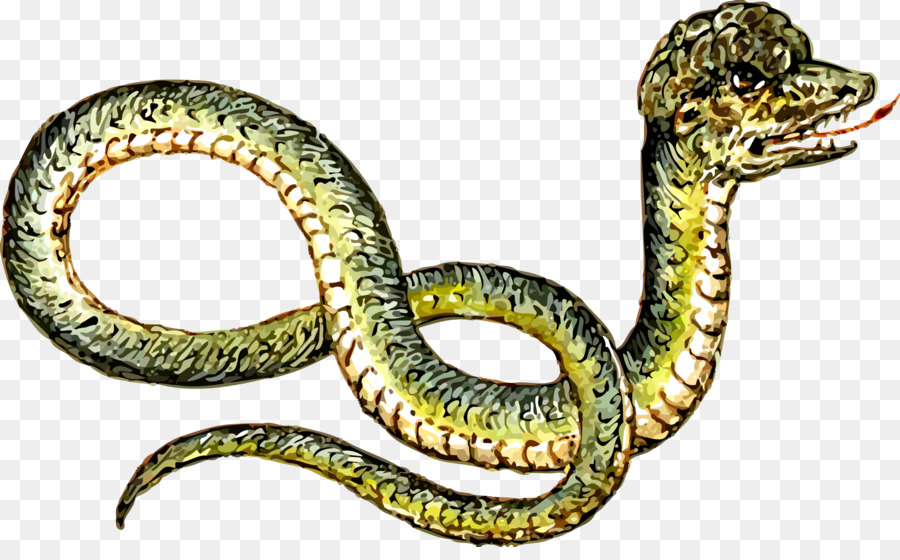 Serpent Noir，Reptile PNG