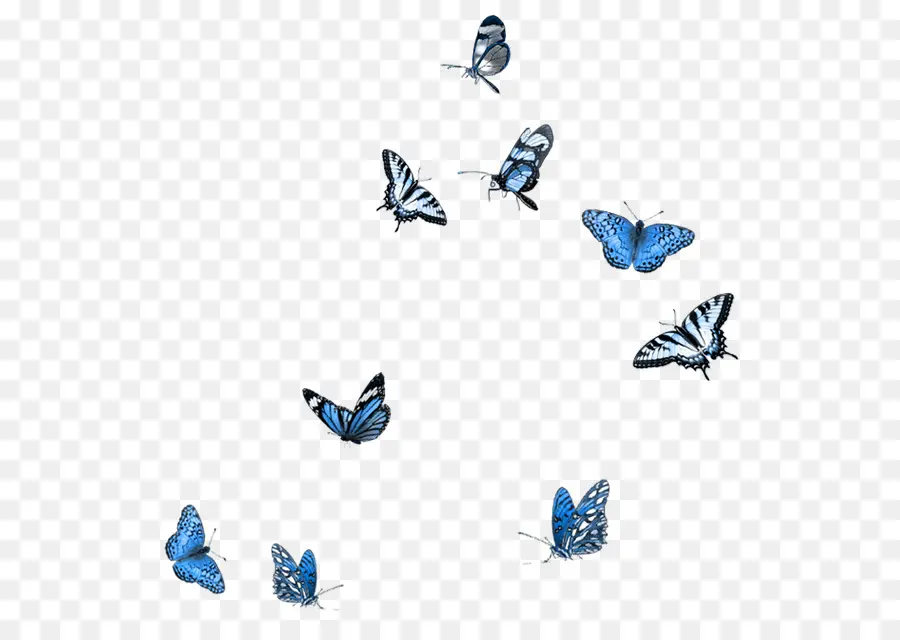 Papillons Bleus，Vol PNG