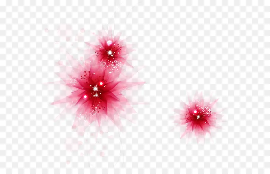 Fleurs Rouges，Fleurs PNG