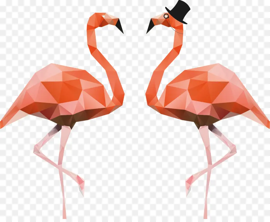 Flamants Roses，Oiseau PNG