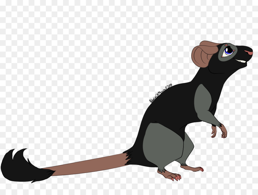 Les Rongeurs，Rat PNG