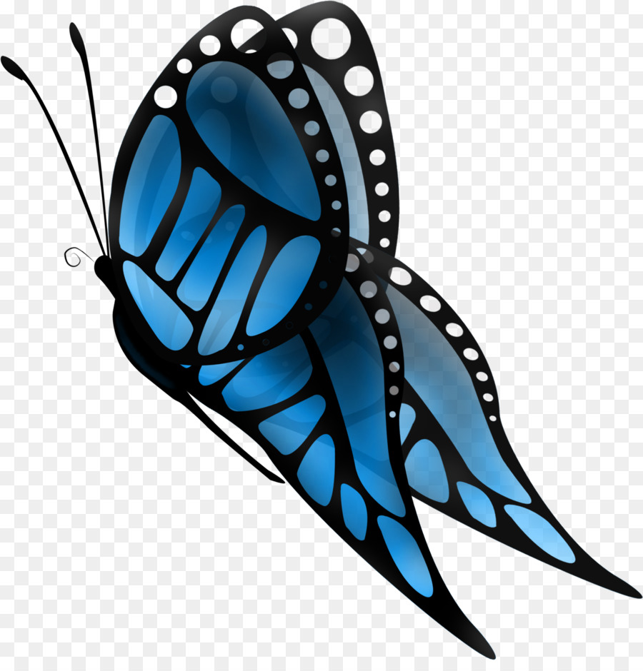 Papillon，Ailes PNG