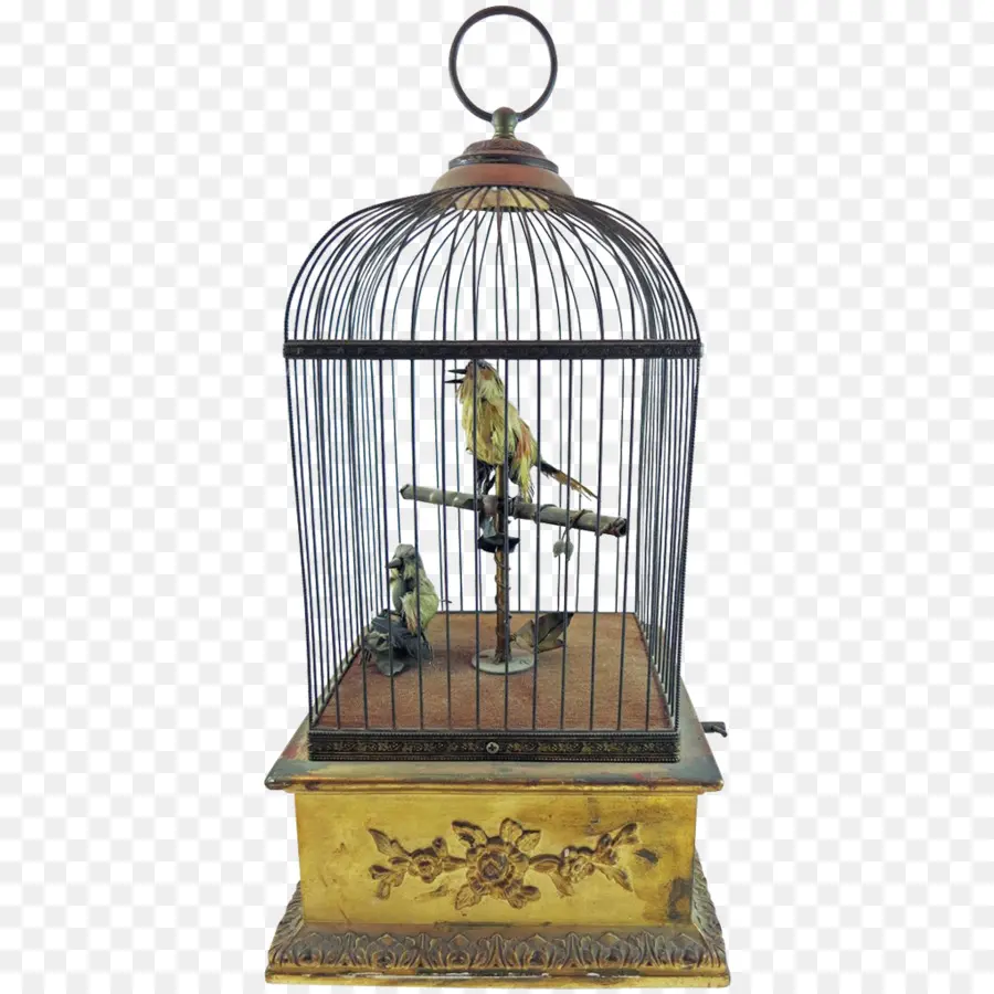 Oiseau，Cage à Oiseaux PNG