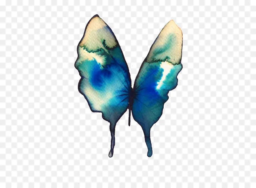 Papillon Bleu，Papillon PNG