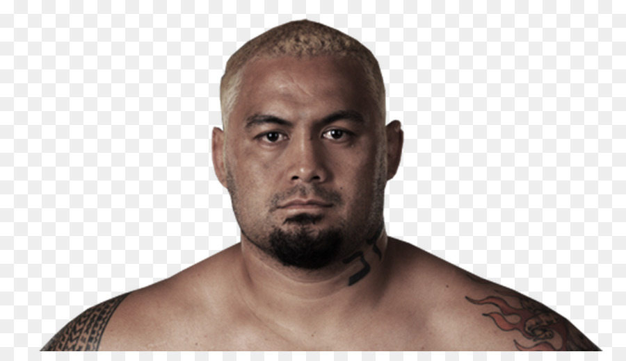 Mark Hunt，L Ufc Fight Night 52 Hunt Vs Nelson PNG