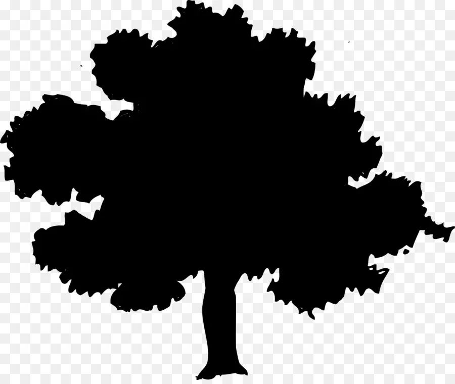 Arbre，Feuilles PNG