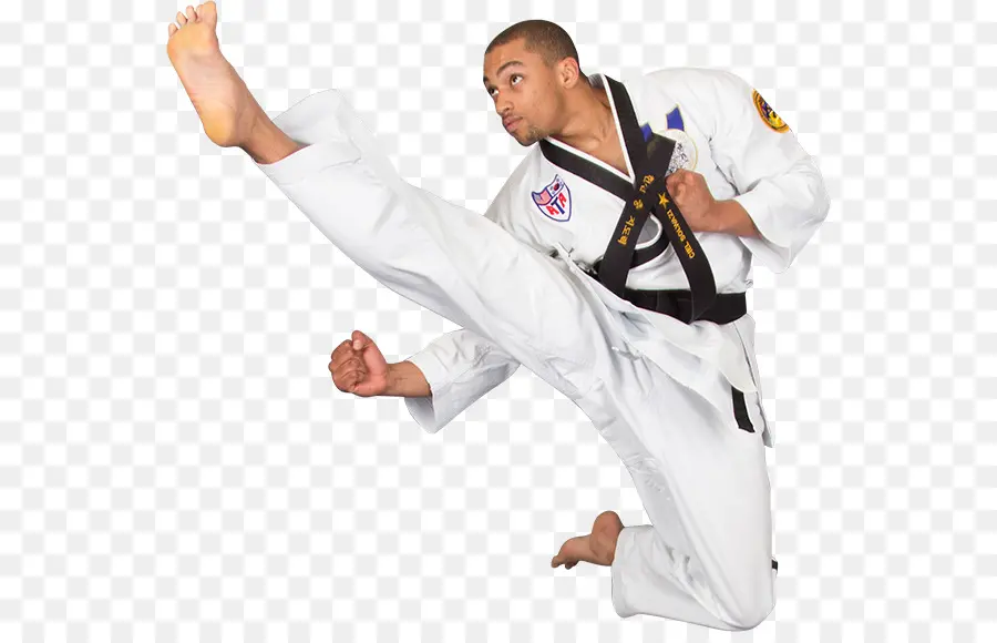 Association Américaine Taekwondo，Taekwondo PNG