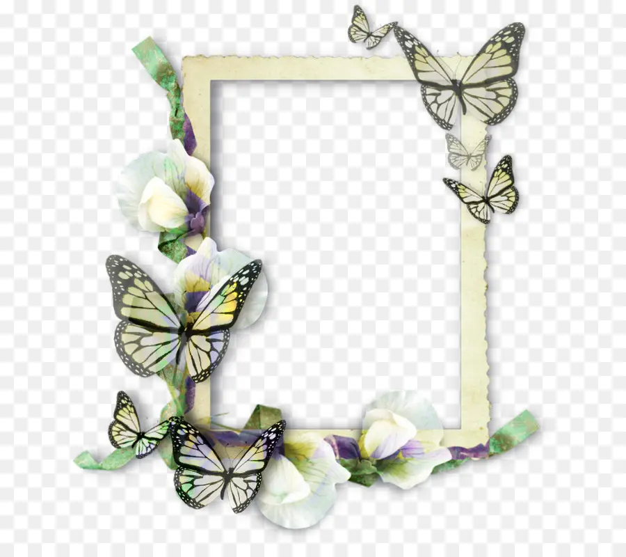 Cadre Papillon，Papillons PNG