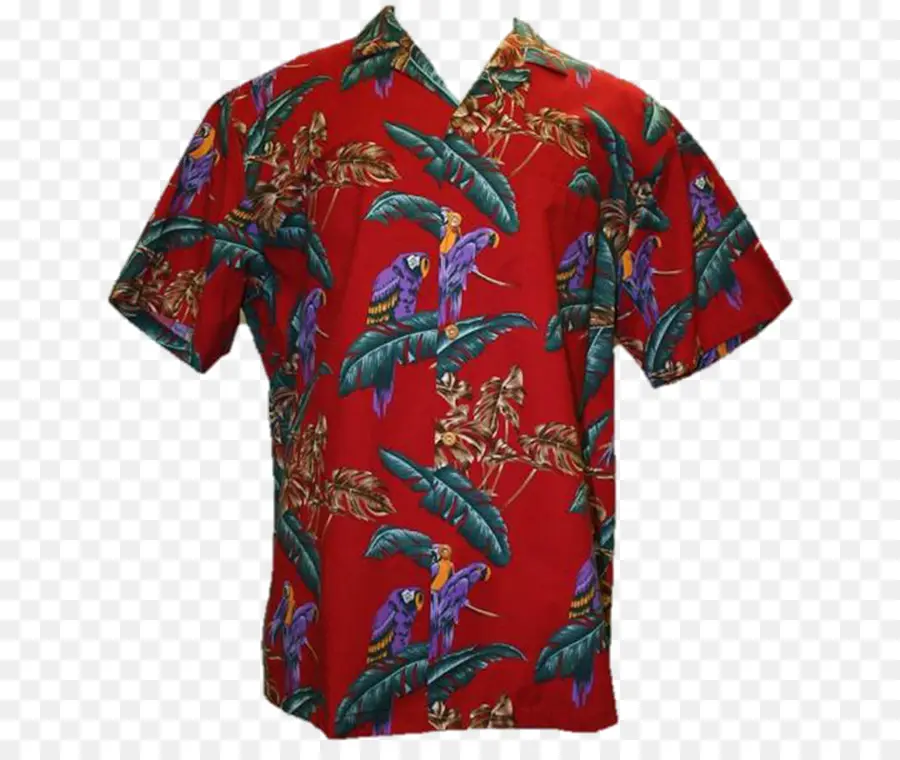 Hawaii，T Shirt PNG