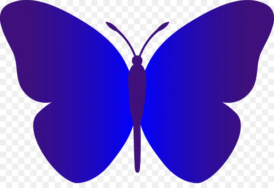 Papillon Bleu，Insecte PNG