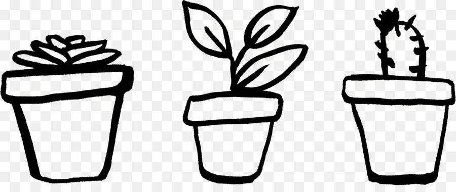 Plantes En Pot，Succulent PNG