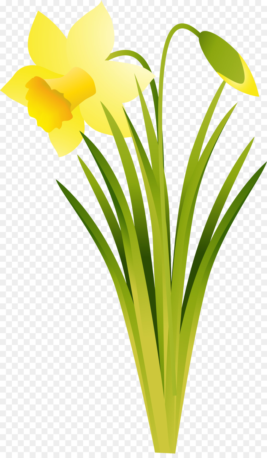 Fleur Jaune，Usine PNG