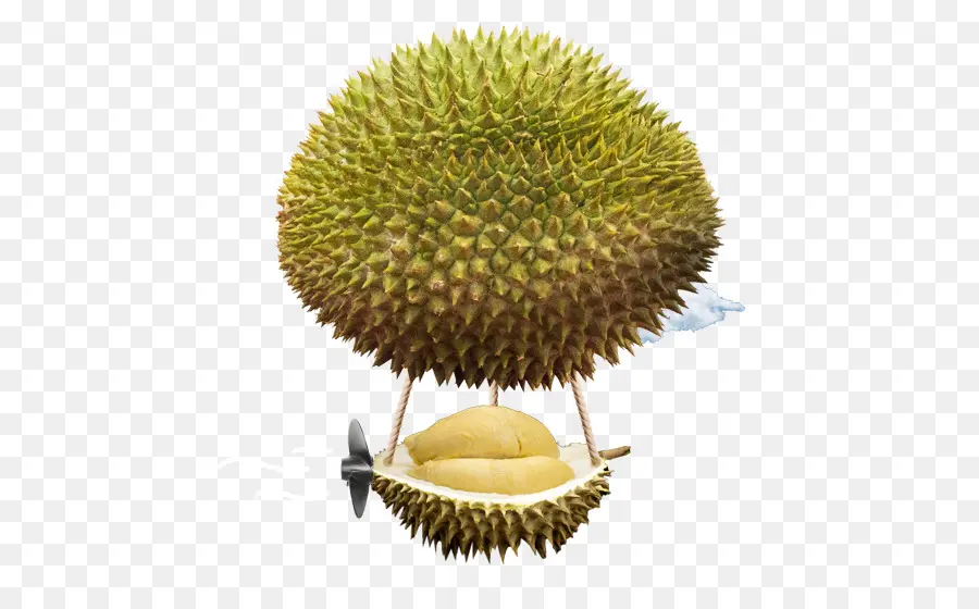 Dirigeable Durian，Épineux PNG