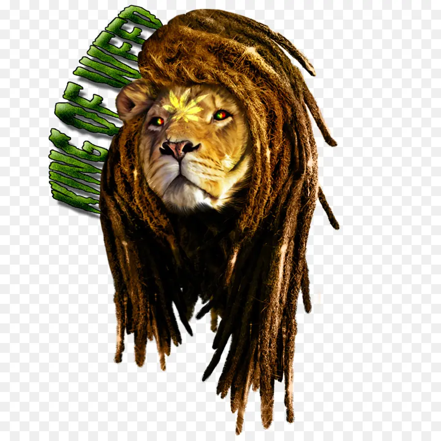 Lion，Tshirt PNG