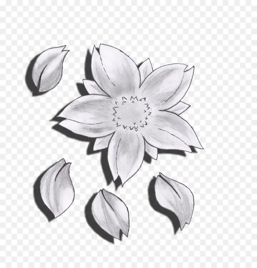 Dessin De Fleur，Dessin PNG