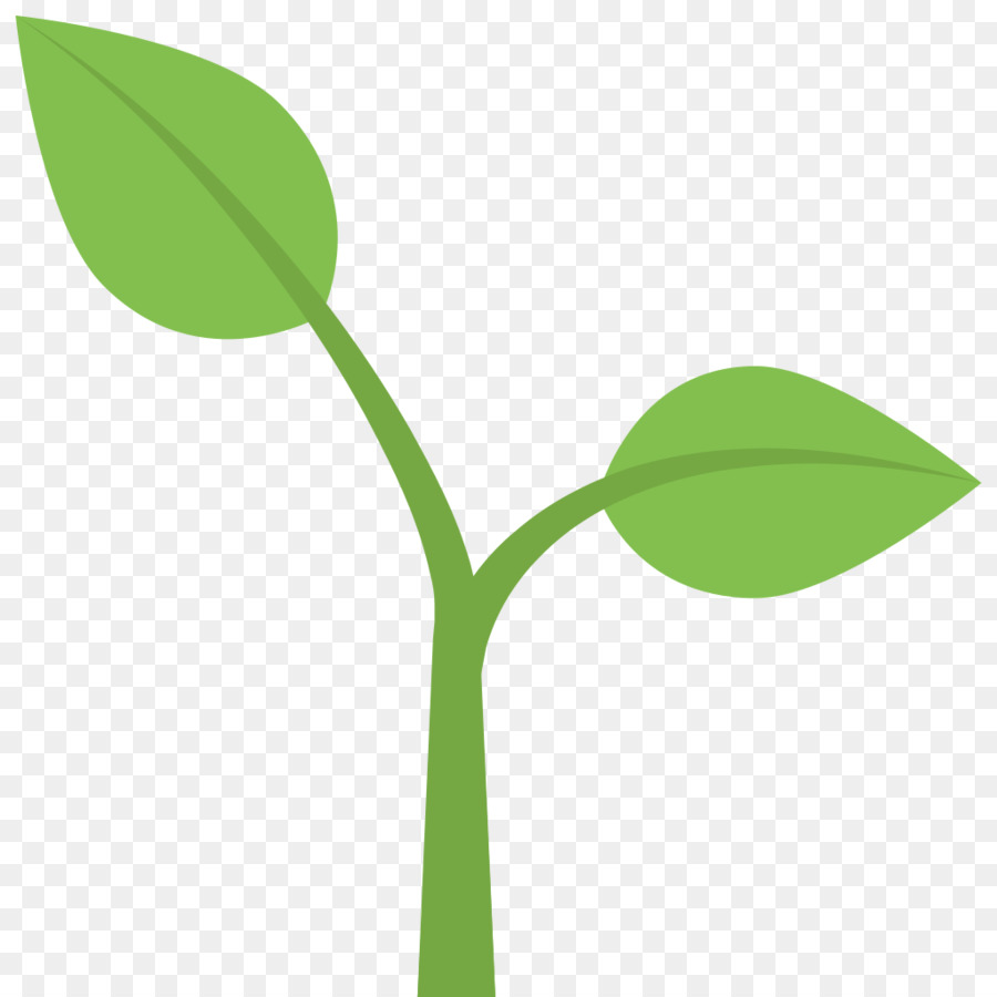 Plante Verte，Feuille PNG