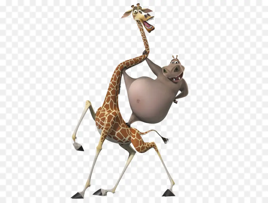 Girafe Et Hippopotame，Animaux PNG