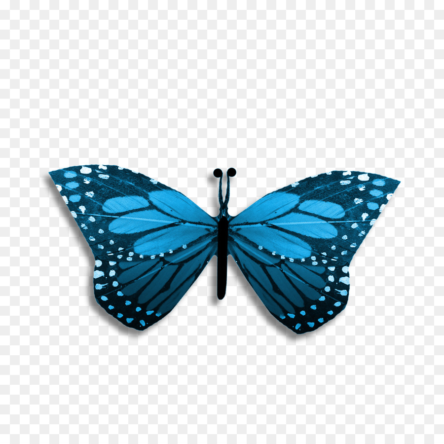 Papillon Bleu，Ailes PNG