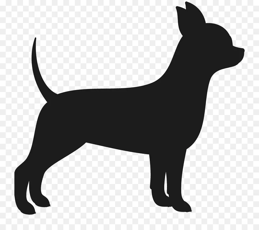 Chihuahua，Cairn Terrier PNG