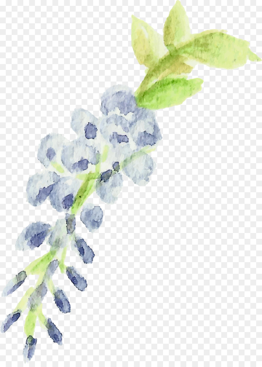 Muguet，Usine PNG