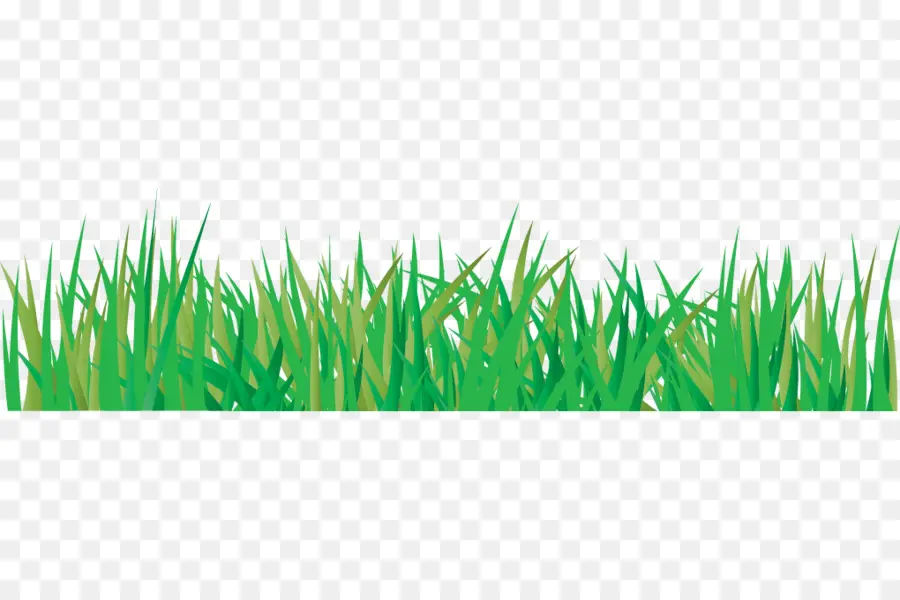 Herbe Verte，Pelouse PNG