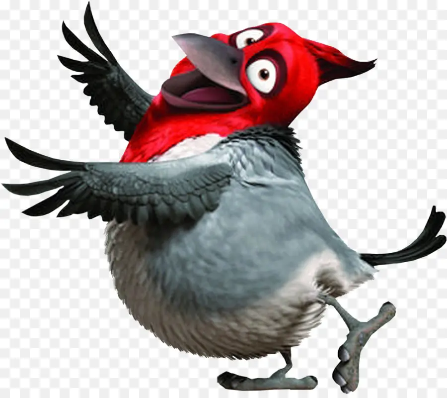 Oiseau Rouge Et Gris，Dessin Animé PNG