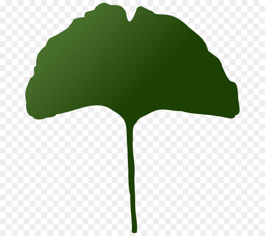 Arbre，Vert PNG