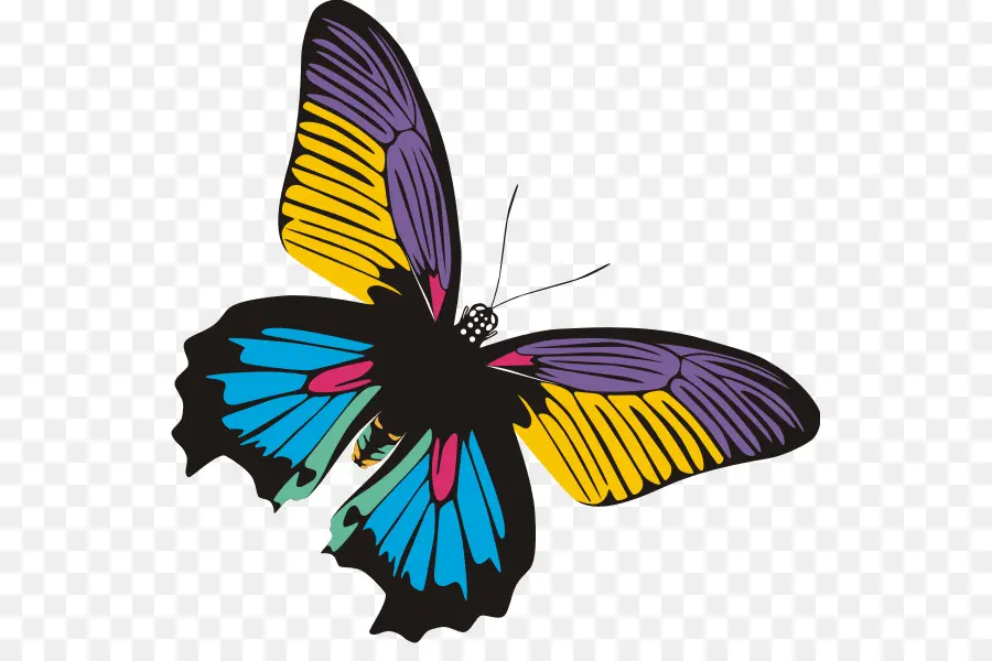 Papillon，Insecte PNG