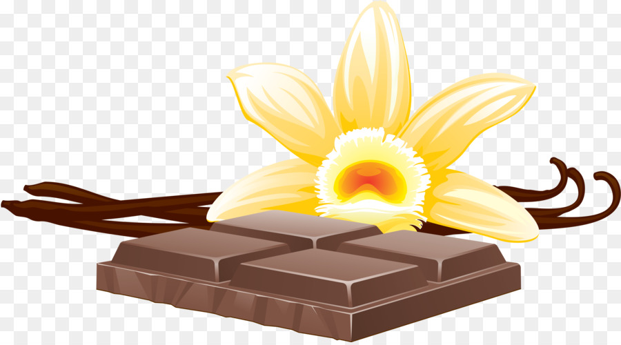 Vanille Et Chocolat，Vanille PNG