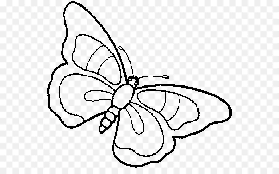 Papillon，Ailes PNG