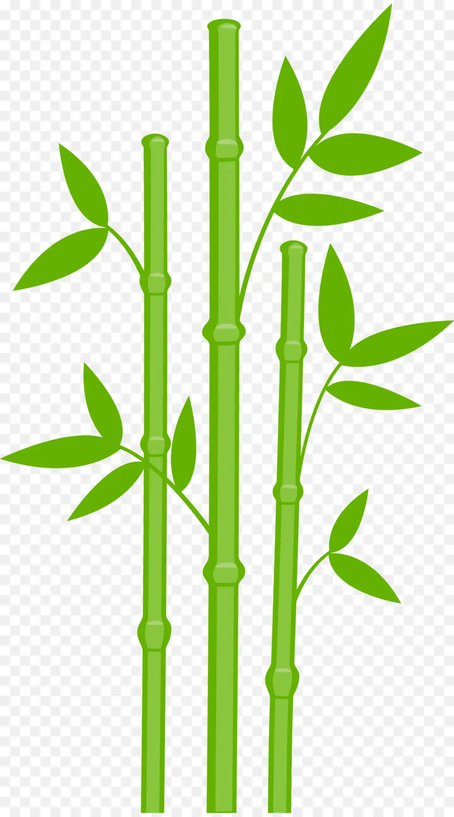 Bambou Vert，Feuilles PNG