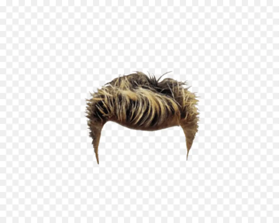 Cheveux，Adapter PNG